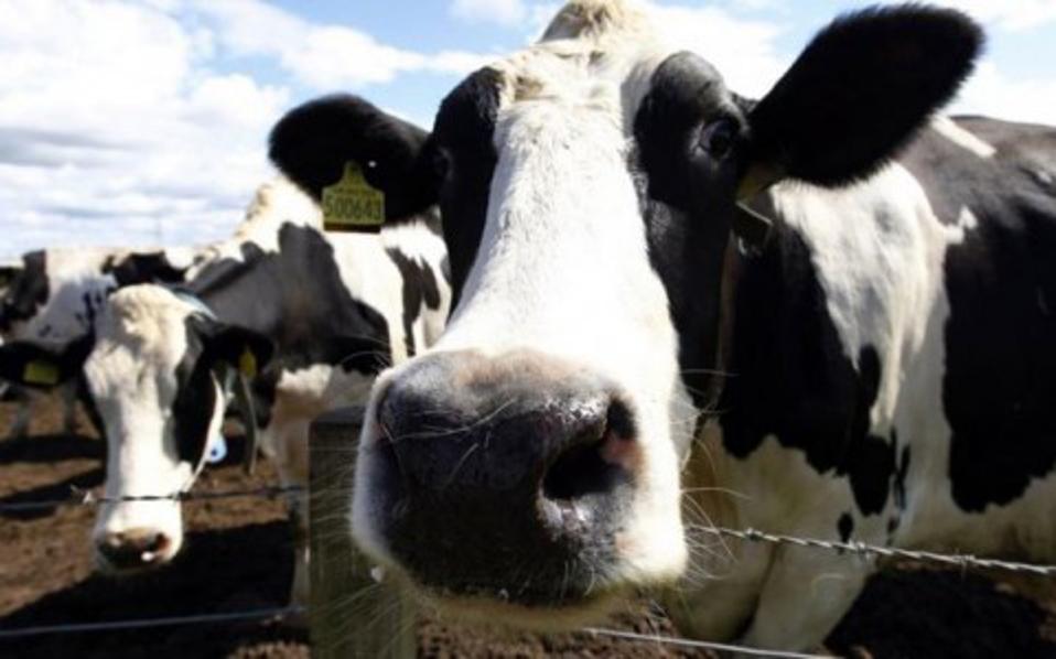 βρέθηκε-η-επιστημονική-λύση-για-μην-μη-2341785