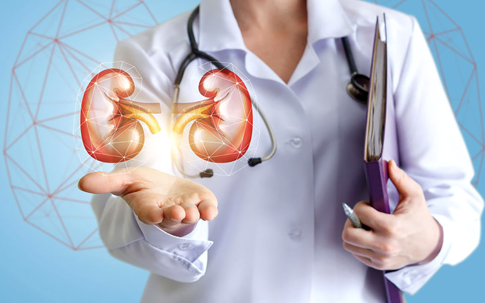 μetropolitan-fusion-virtual-navigation-για-βιοψίες-χωρίς-άσκοπες-επε-2343806