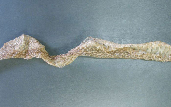 οι-επέτειοι-τα-φωτοτυπικά-και-η-υπολο-2344732