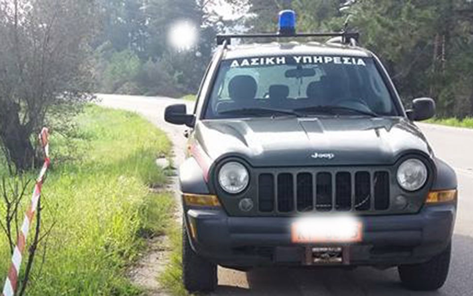 πρωτόγνωρη-παγίδα-πουλιών-έστησαν-λα-2342988