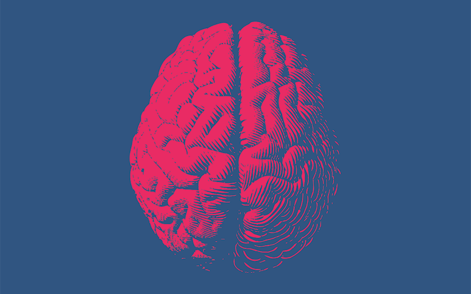 ο-εγκέφαλος-χρειάζεται-από-100-έως-300-χιλιο-2345017