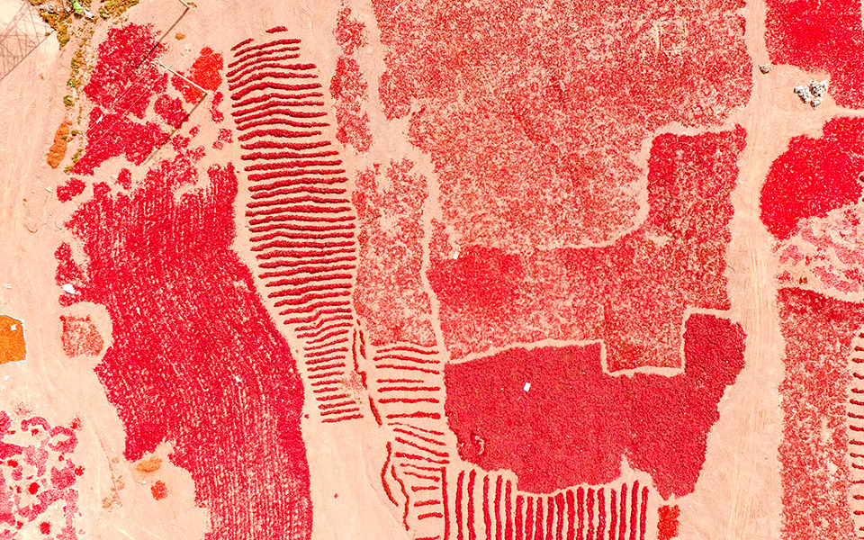 πικάντικη-απεικόνιση-2342068