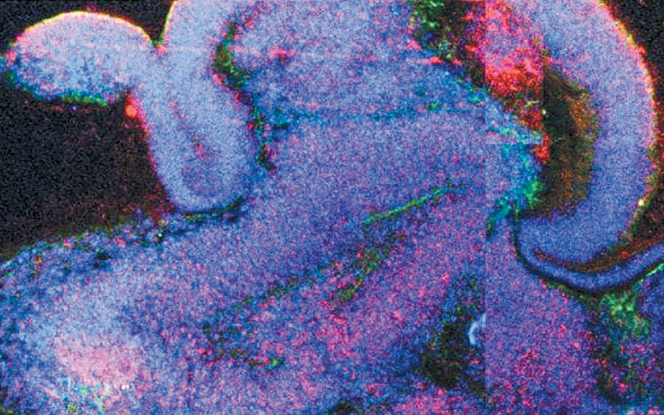 επιστήμονες-ξεπέρασαν-τα-όρια-2343317