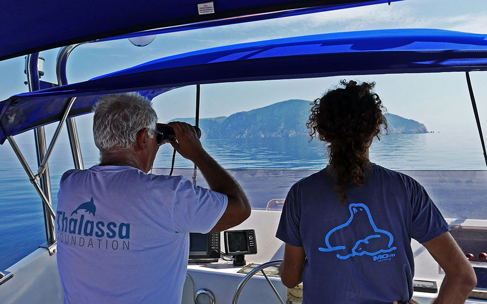 με-δεμένα-χέρια-οι-φορείς-προστασίας-τ-2340879