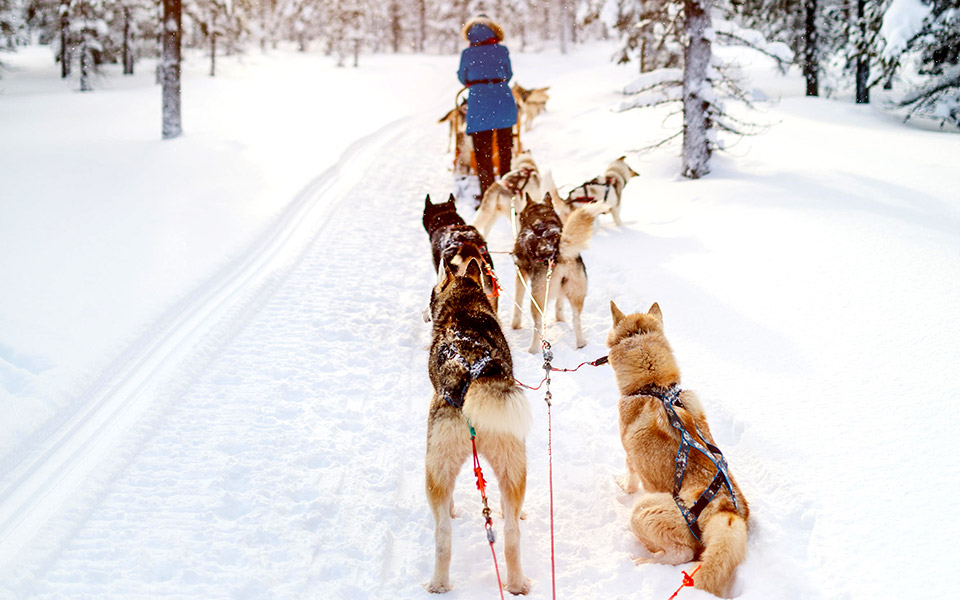 αφιέρωμα-οργανωμένα-ταξίδια-μέρος-ά-2343717