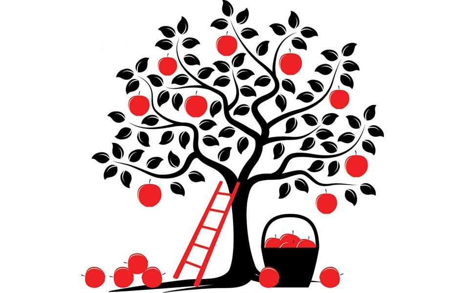 μήλα-αυστηρά-για-ενήλικες-2344822