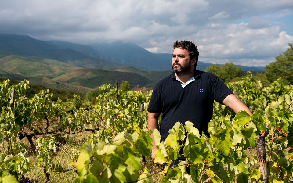 κάθε-κρασί-και-μια-φωτογραφία-του-αμπ-2343893