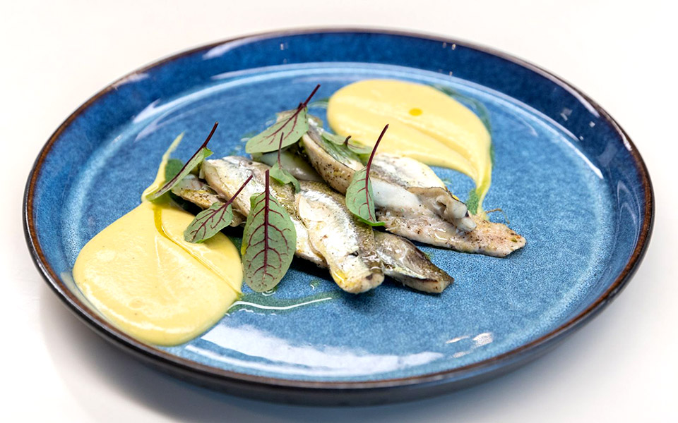 βασίλισσα-ζαργάνα-2342082