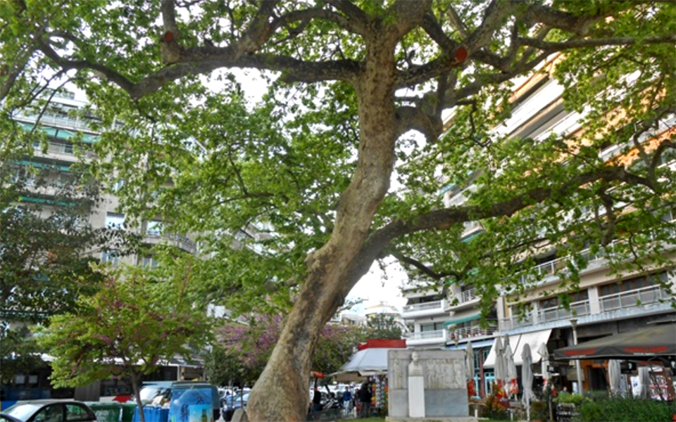 διατηρητέα-μνημεία-της-φύσης-τέσσερα-2345036