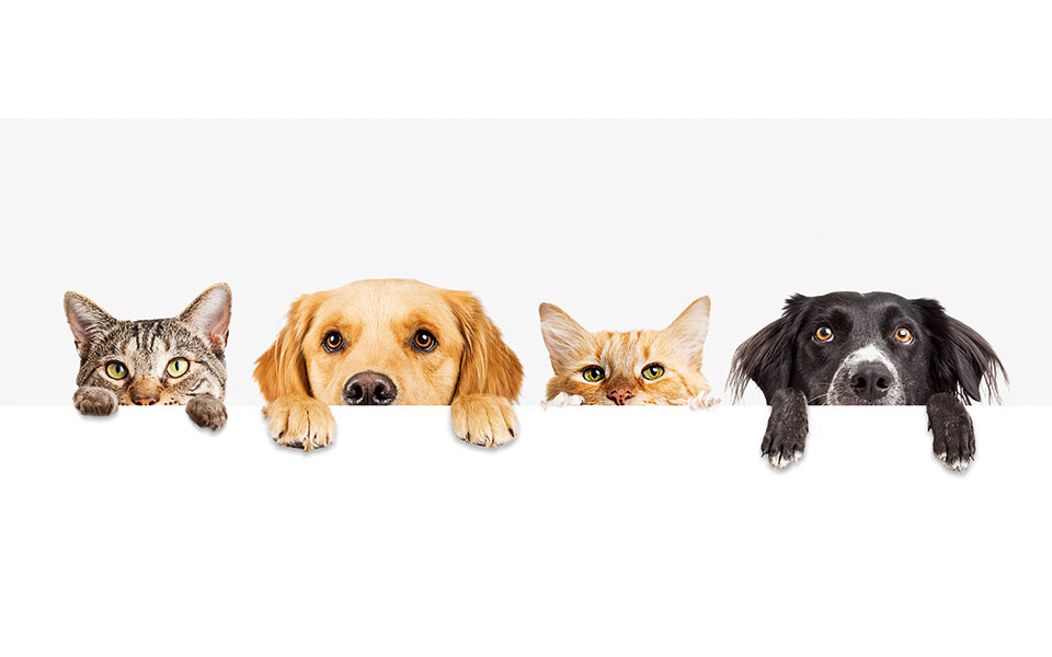 φιλόζωοι-λομπίστες-2342860