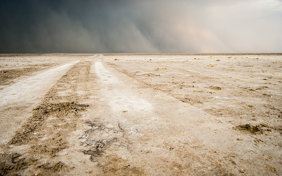 όλοι-οι-άνθρωποι-κατάγονται-από-τη-βόρ-2344794