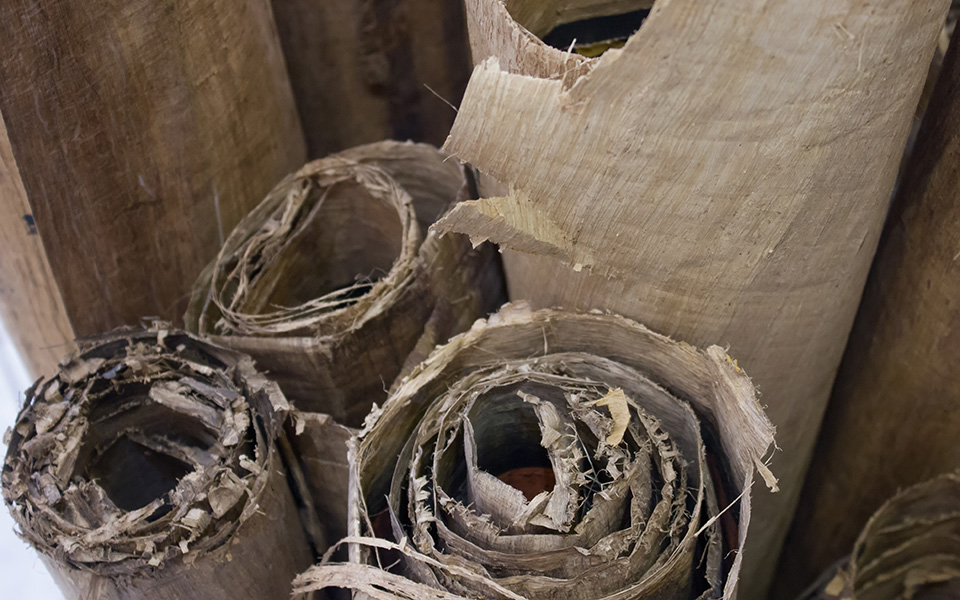 αρχαία-καμένα-χειρόγραφα-από-τον-βεζο-2340355