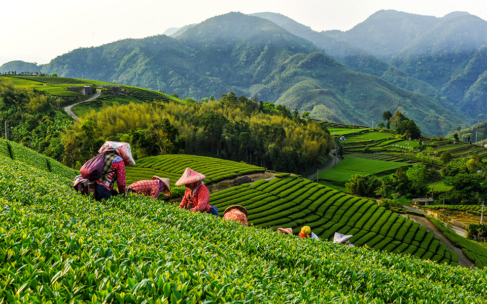 πρόσκληση-στην-ταϊβάν-2340394