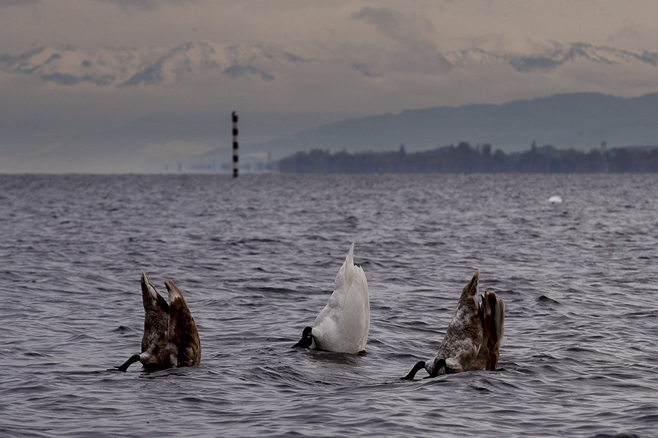 φωτογραφήματα-2347956