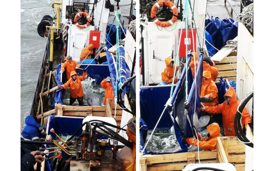 ρωσία-αύριο-η-τελευταία-επιχείρηση-απ-2345827