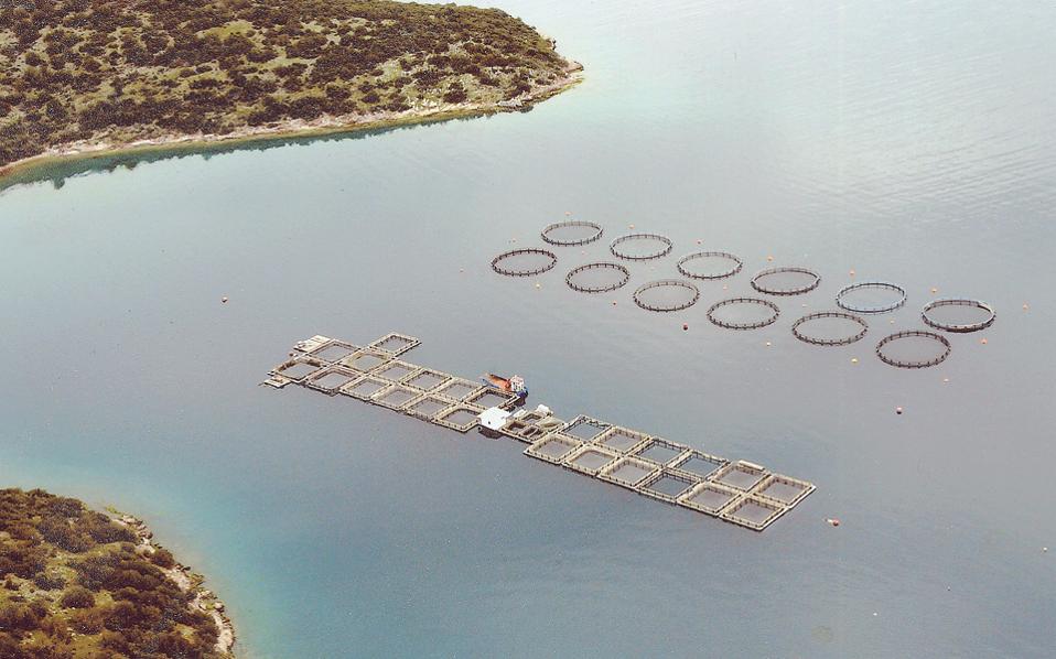 πρόγραμμα-ενίσχυσης-παραγωγικών-επε-2350771