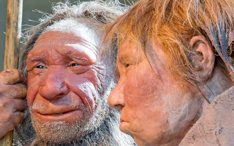 αθώος-ο-sapiens-για-την-εξαφάνιση-των-νεάντερ-2350451