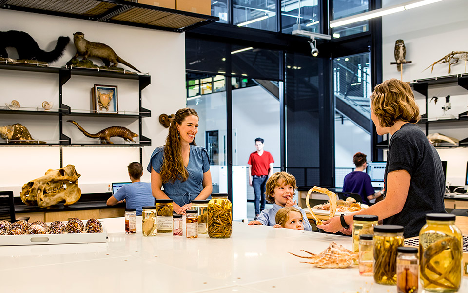 μουσείο-δίχως-μυστικά-2346610