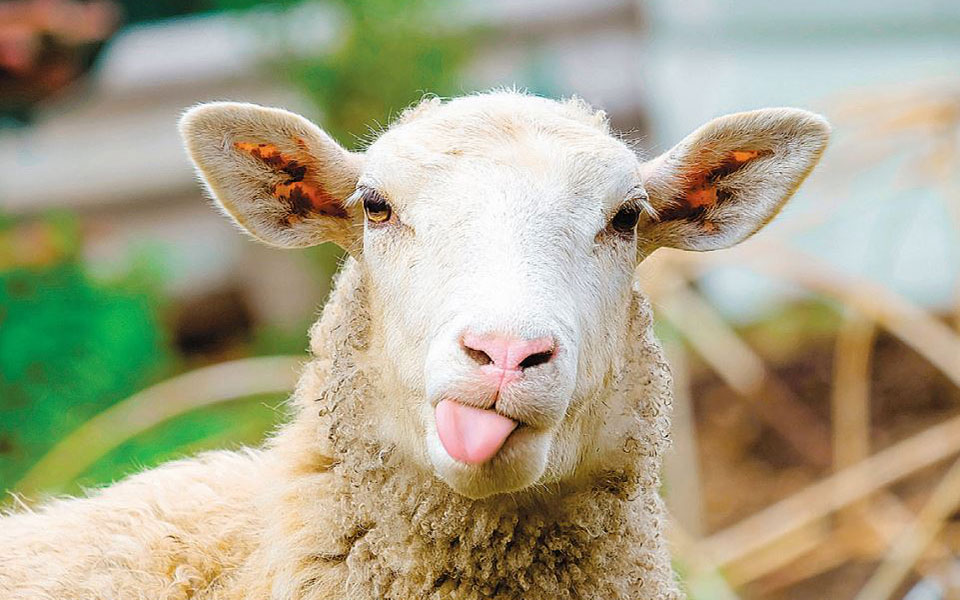 ας-ακούσουμε-όσα-έχουν-να-μας-πουν-2349646