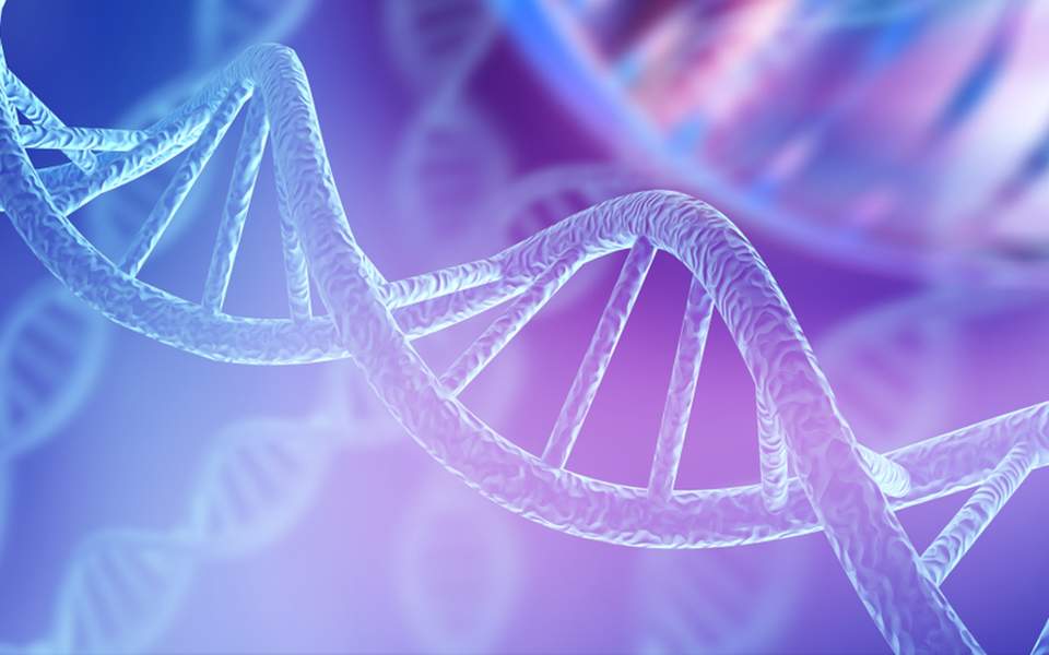 κύτταρο-κβαντική-και-dna-οι-τρεις-σ-2346291