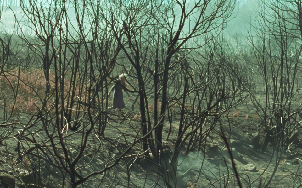 τα-βραβεία-του-60ου-φεστιβάλ-κινηματογρ-2346888