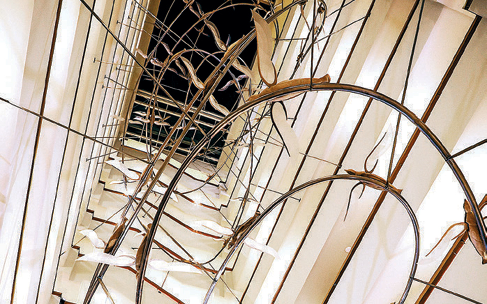 ενα-σμήνος-πουλιών-κατοικοεδρεύει-σε-2348635