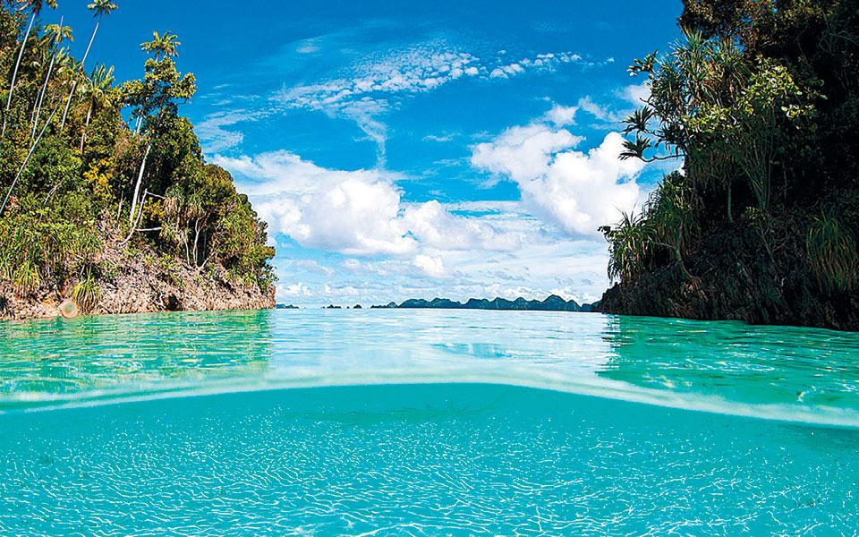 το-μετέωρο-βήμα-της-νέας-βιολογίας-2348179