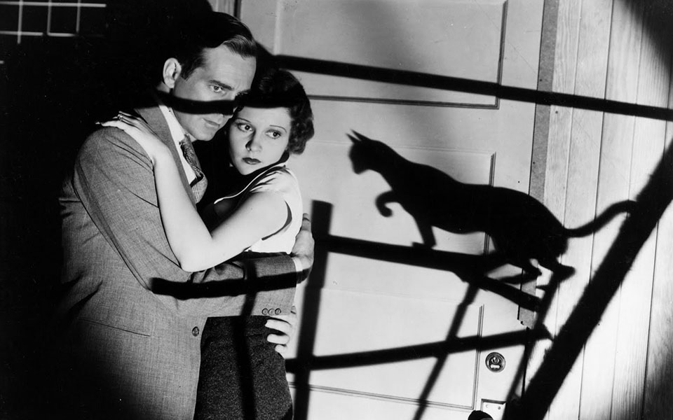 ο-τσεκαδόρος-και-το-τρίτο-φύλο-2348161