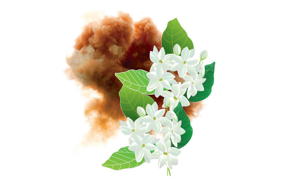 το-γιασεμί-της-σμύρνης-2349162