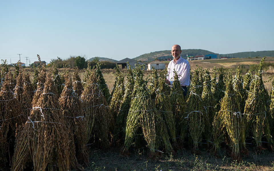 βραβεία-ποιότητας-γαστρονόμου-2019-ταχί-2346148