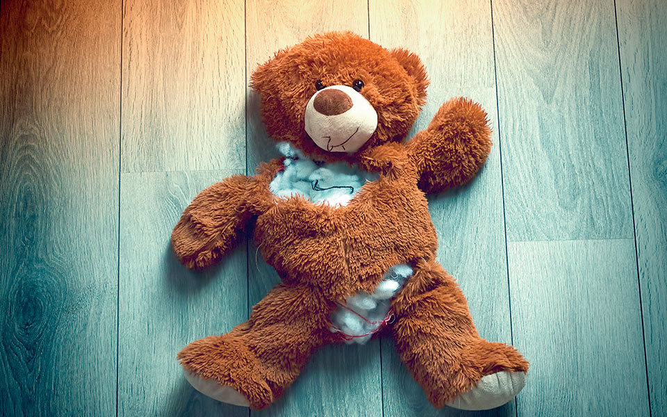 κακοποίηση-ζώων-ας-ανοίξουν-οι-χοροί-2345831