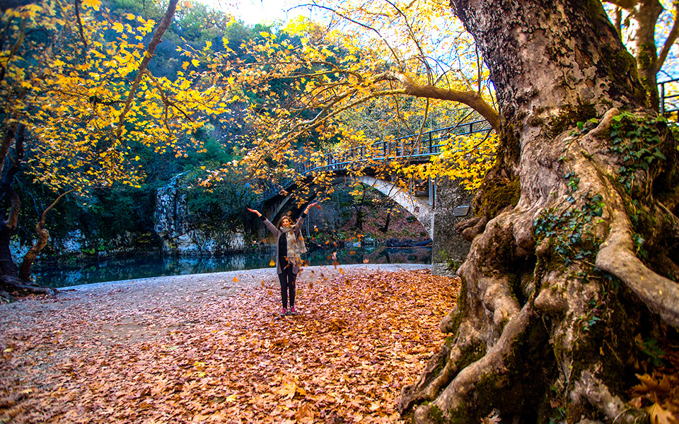 το-φθινόπωρο-είναι-εδώ-2345821
