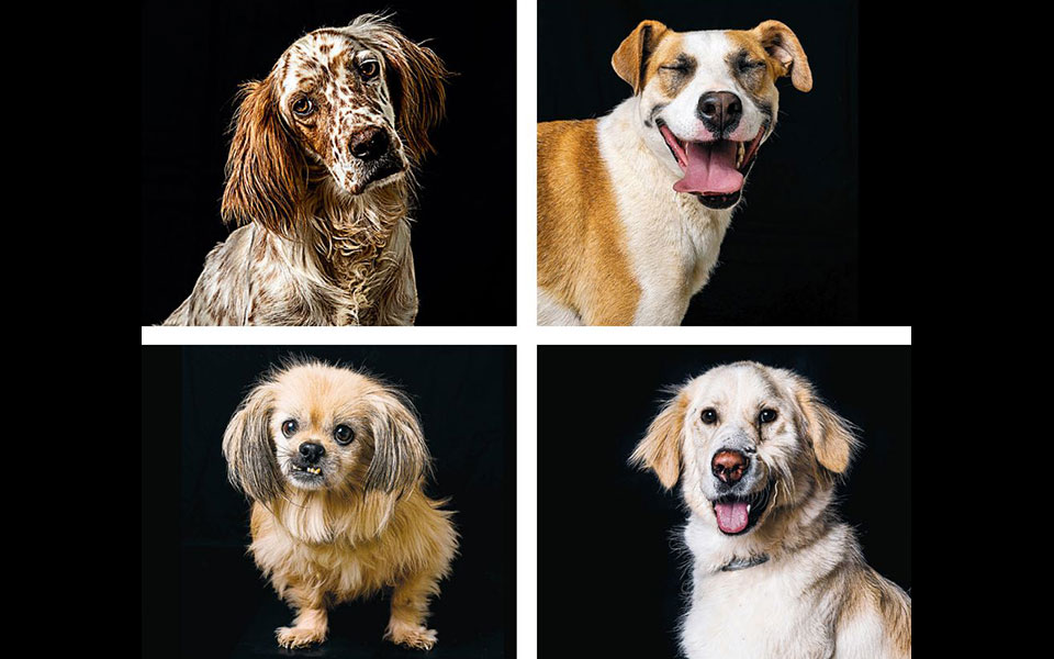 αγάπη-κλεισμένη-πίσω-από-κάγκελα-2352718