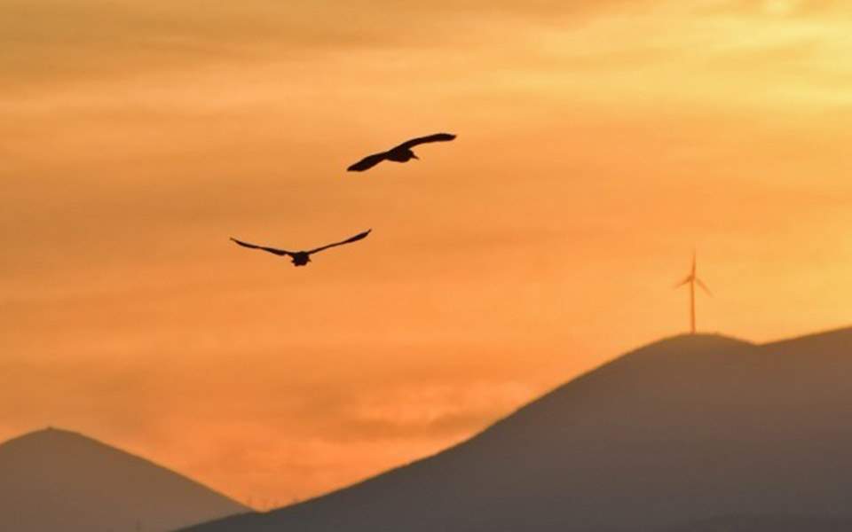 περιβάλλον-νόμοι-και-πολιτικές-σε-κρί-2352436