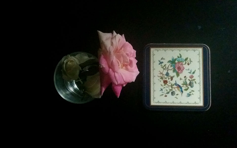 ο-κρυφός-κήπος-και-η-φωνή-των-πραγμάτ-2354604