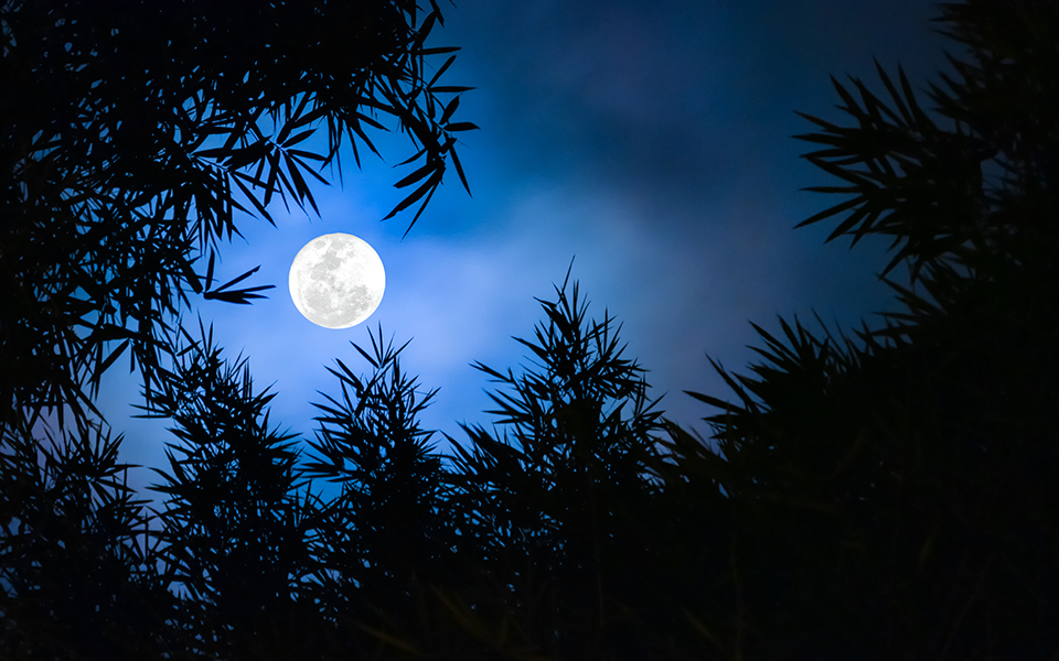 xειμερινό-ηλιοστάσιο-ερχεται-η-μεγαλύ-2354526