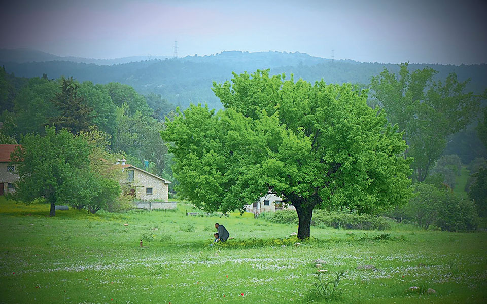 οι-διαφωτιστές-του-γένους-και-οι-φωτισ-2352708