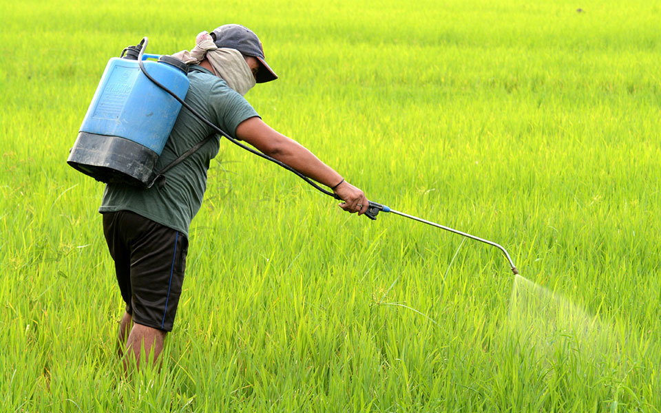 αλχημείες-με-τη-ρύπανση-και-τα-φυτοφάρ-2355504