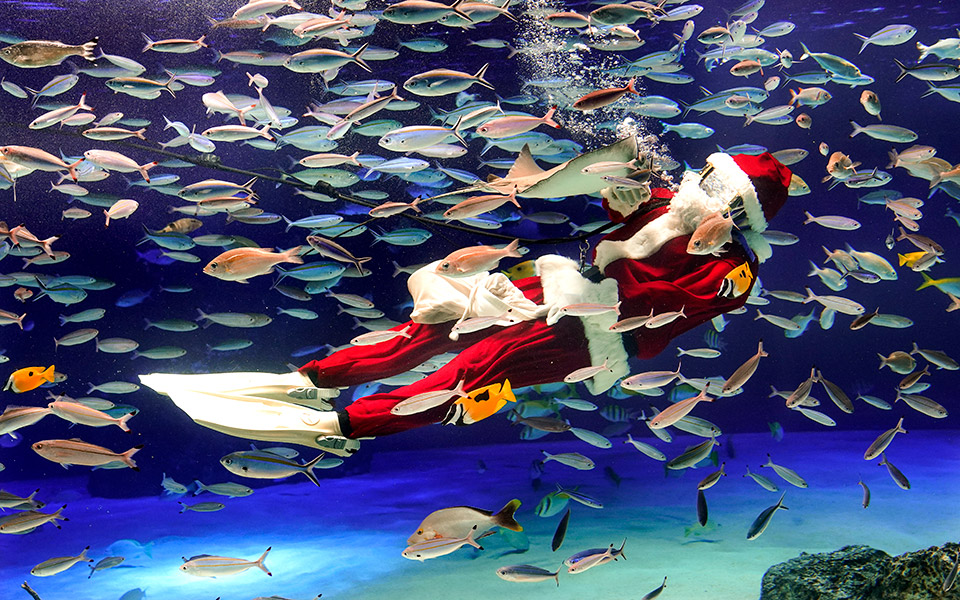 ιαπωνία-aϊ-βασίλης-του-νερού-2353002