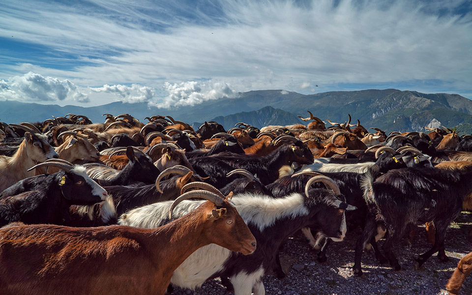 αφιέρωμα-road-trips-δυτική-μακεδονία-2351946