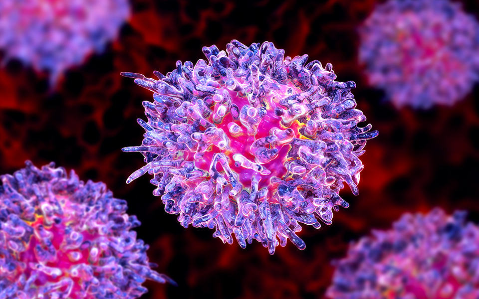 δημιουργήθηκε-σύστημα-τεχνητής-νοημ-2355278