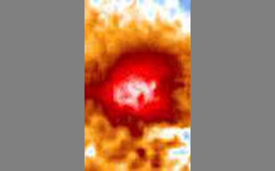 θαλάσσιος-καύσωνας-στη-νέα-ζηλανδία-2355422