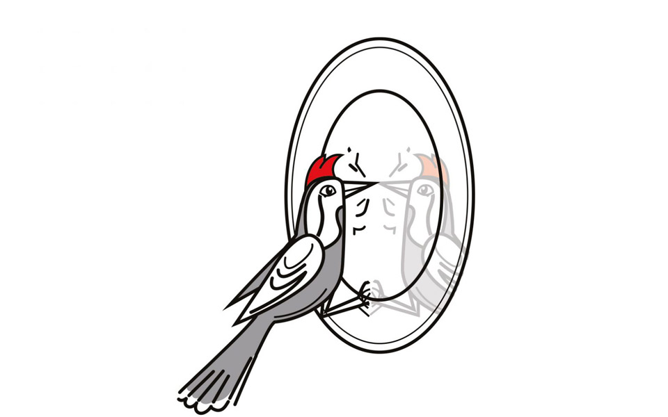 καλή-τροφή-απόλαυση-χαρά-και-επικοινω-2353654