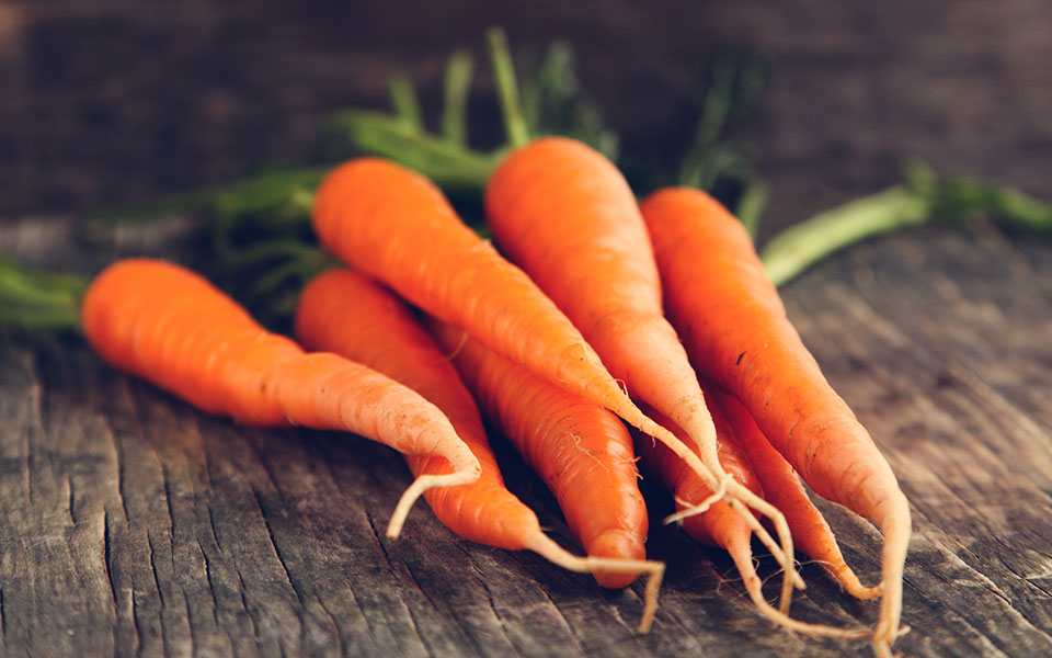 οχι-άλλο-σεβασμό-2351761