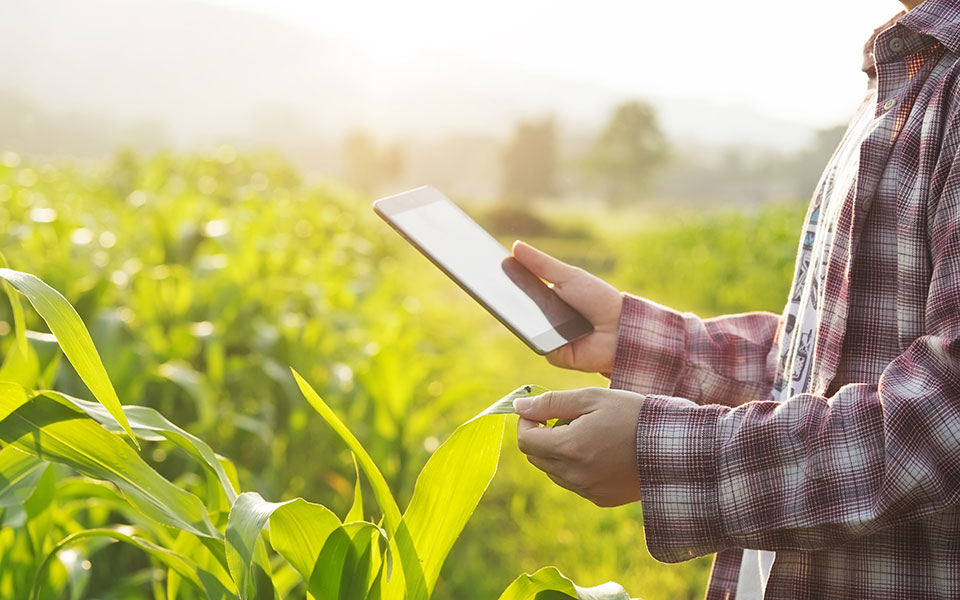 κρήτη-εφαρμογή-για-smartphone-θα-δείχνει-ποιο-α-2350798