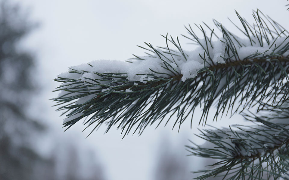 ψυχρό-κύμα-από-την-παρασκευή-φέρνει-η-2355211