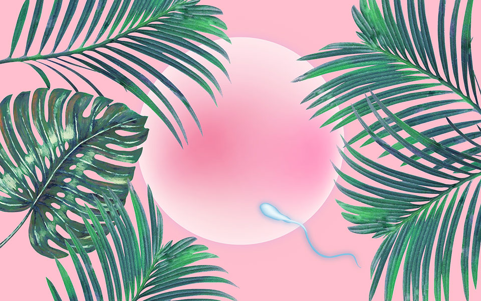 ένα-όνειρο-για-όλους-2356945