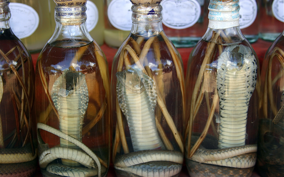 κινέζοι-επιστήμονες-από-τα-φίδια-προέ-2360006