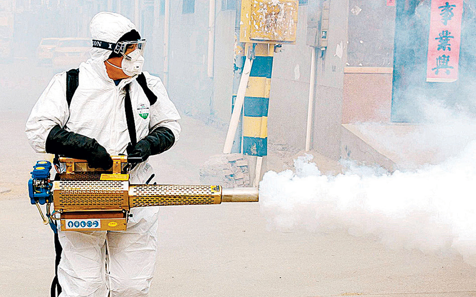 στις-νυχτερίδες-η-προέλευση-του-κορων-2360884