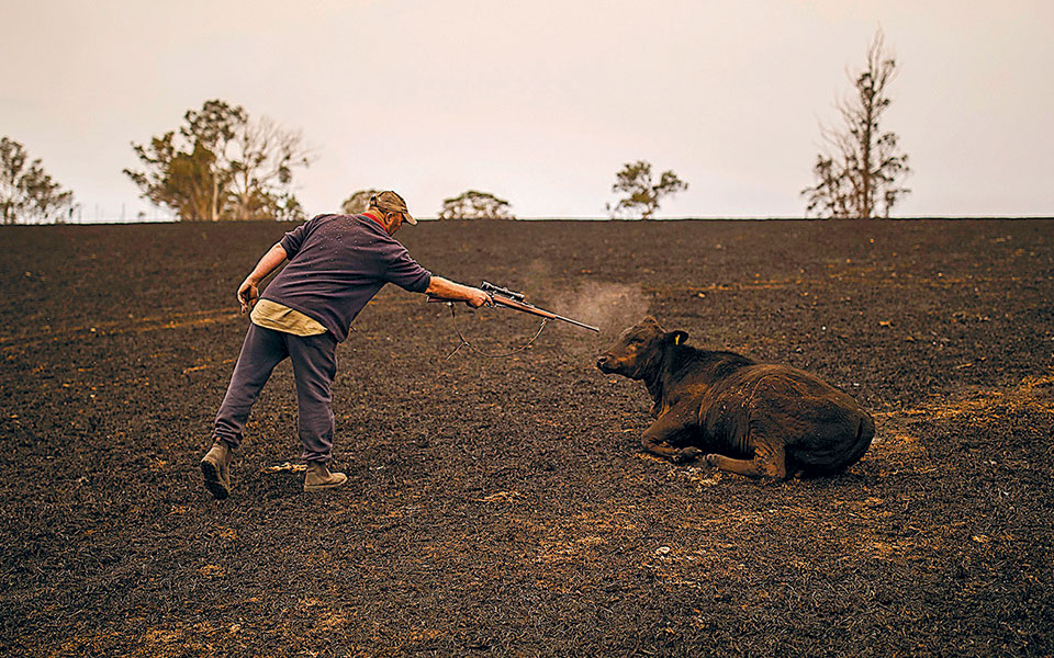 η-αλληλεγγύη-στα-ζώα-ως-ένδειξη-ανθρωπ-2357121